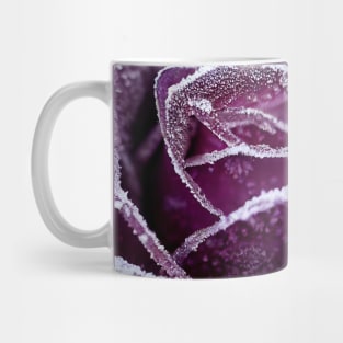 Purple flower close up with studio light Mug